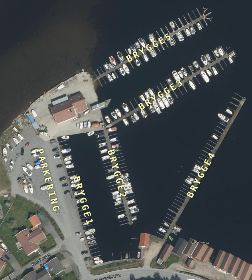 brygger_crop